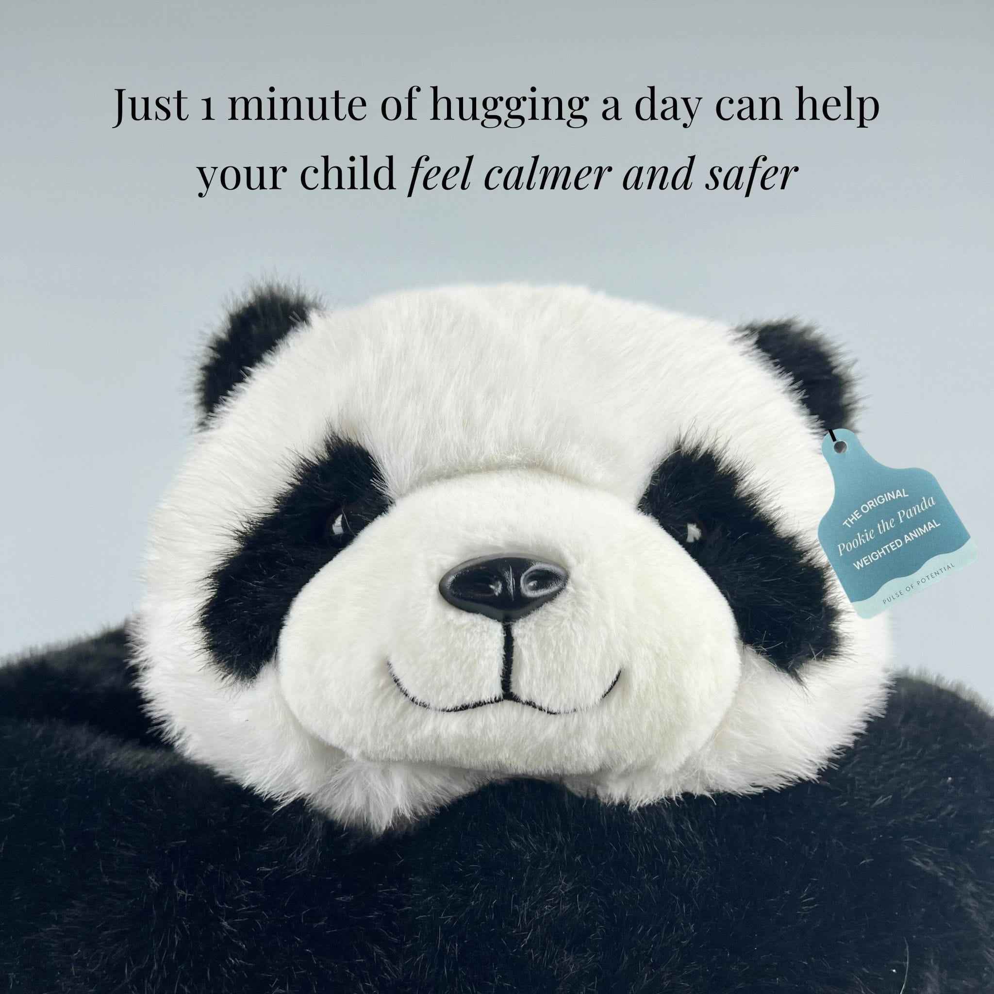 Pookie the Panda Weighted Hug Buddy for Children - Image 8